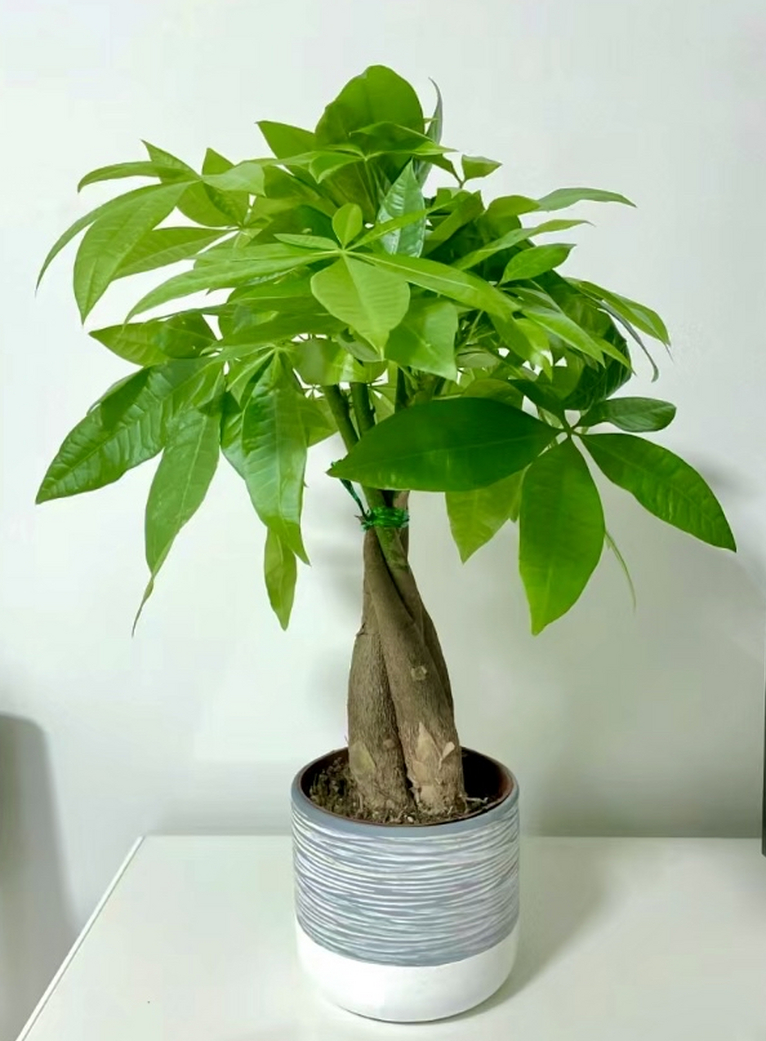 admin 第83页