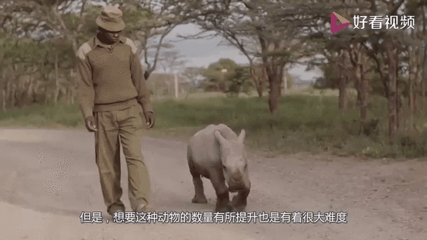 下载中心 第10页