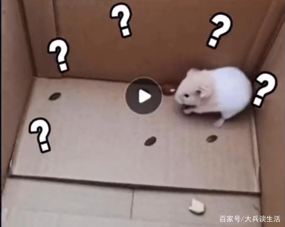 产品中心 第9页
