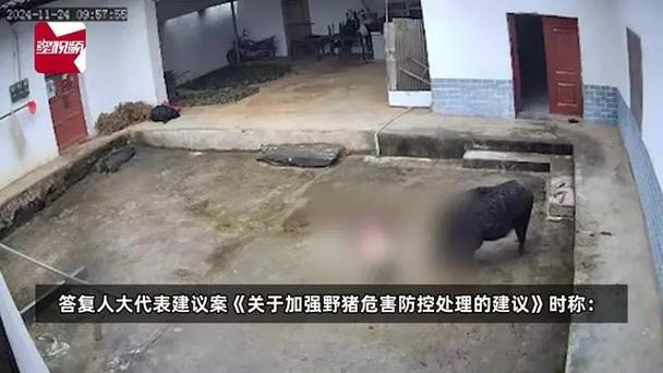 客户服务 第9页