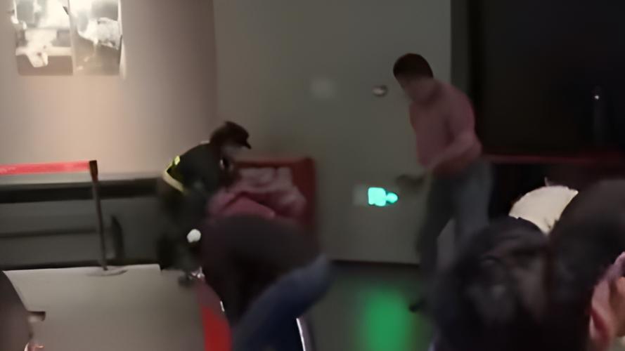 上海迪士尼游客打架,上海迪士尼游客打架图片